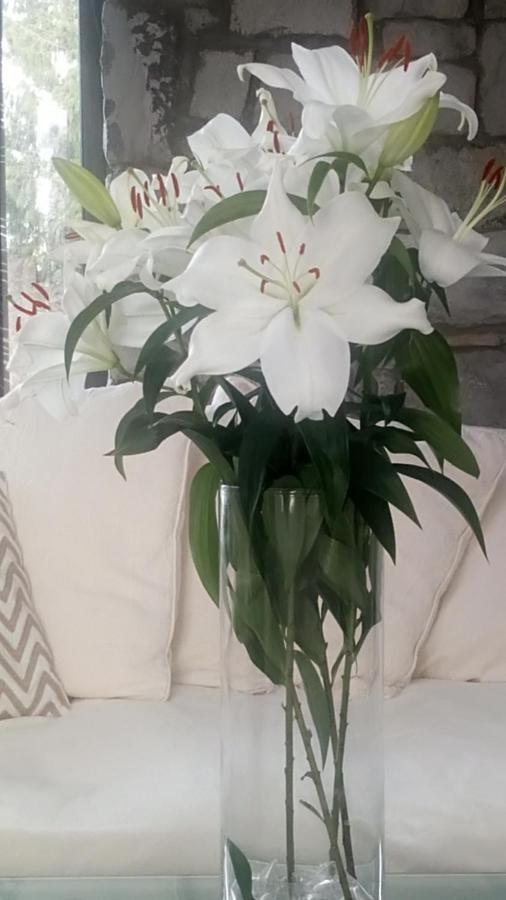 לונגפורד Augherea House מראה חיצוני תמונה